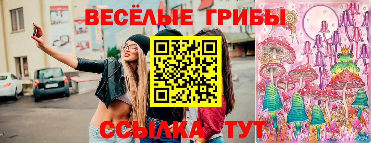 Галлюциногенные грибы MAGIC MUSHROOMS Сосновый Бор